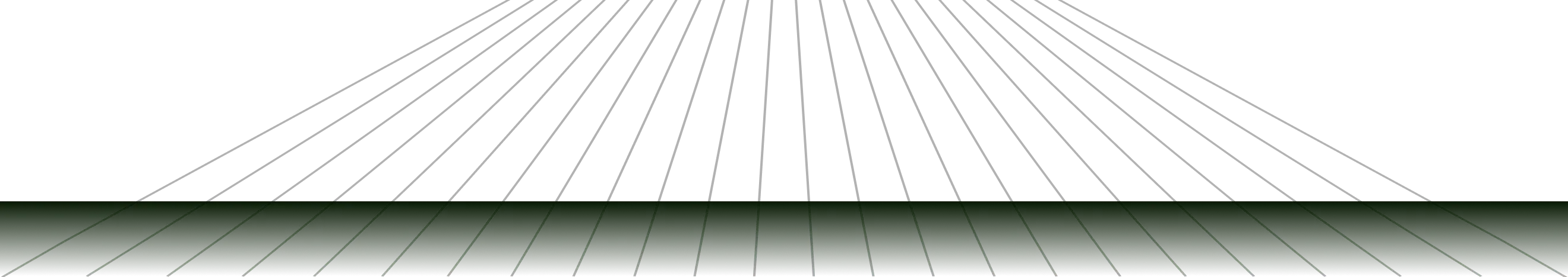 Perspective